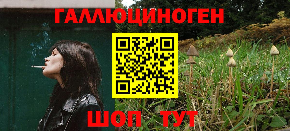 Галлюциногенные грибы Magic Shrooms  Вход с VPN  купить наркотики сайты  Топки 